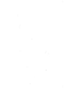 15 minutos aproximadamente